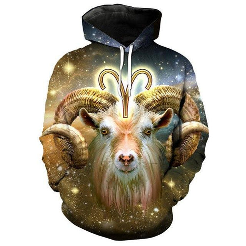 12 constellation 3D Aries print hoodie